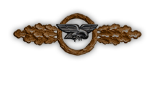Frontflugspange für Transportflieger in Bronze (Verleihung nach 20 Frontflügen)
