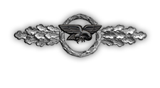 Frontflugspange für Transportflieger in Silber (Verleihung nach 60 Frontflügen)
