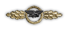 Frontflugspange für Transportflieger in Gold (Verleihung nach 110 Frontflügen)
