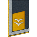 Kragenspiegel