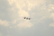 Lockheed P-38 'Lightning' der Flying Bulls (Gabelschwanzteufel)
